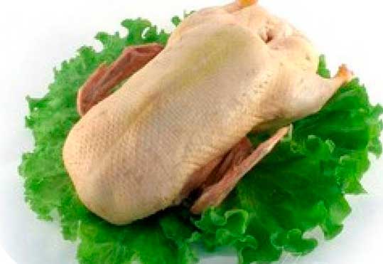 домашние парные курочки. уточки, гуси, цесарки и т.д