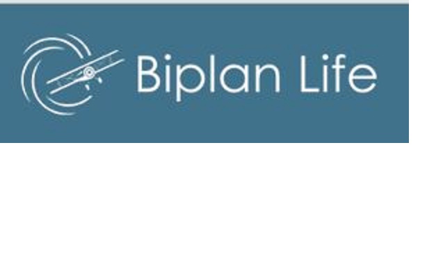 МLМ-бизнес Проект BiрlanLife