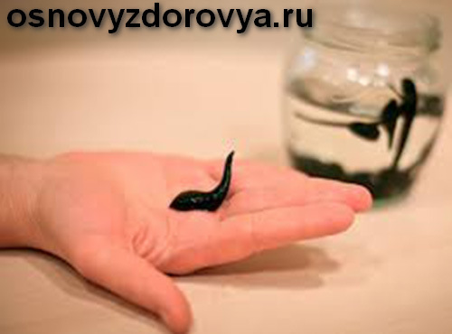 Семинар Народный метод оздоровления пиявками от СибГирудоЛайф