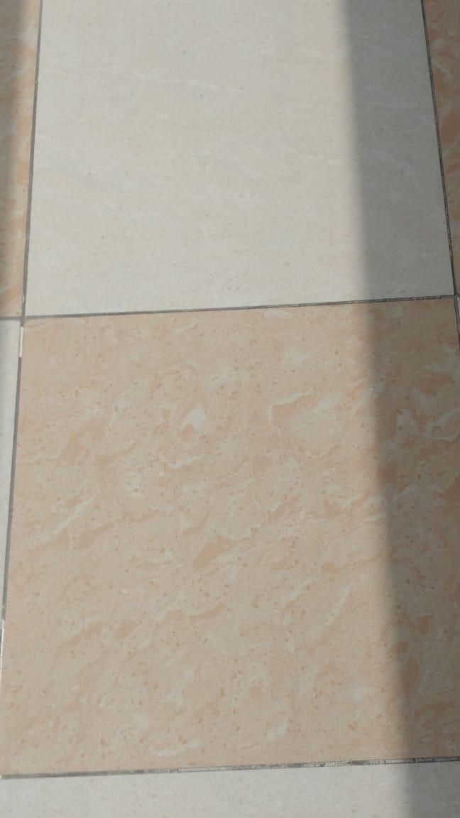 Керамогранит полированный Еstima 60x60