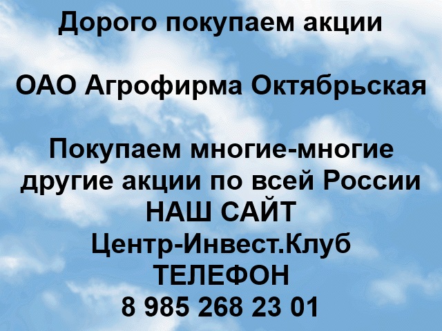 Покупаем акции ОАО Агрофирма Октябрьская