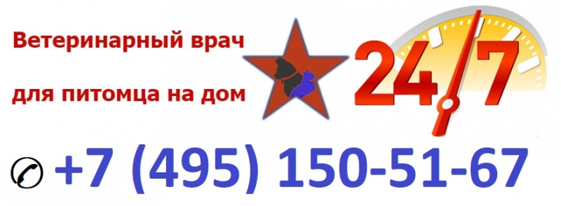    24 . 