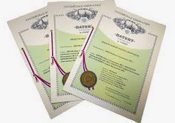 патент на разработку