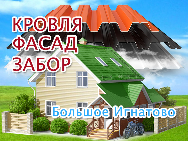 Ремонт крыш Большое Игнатово, обшивка дома Киржеманы
