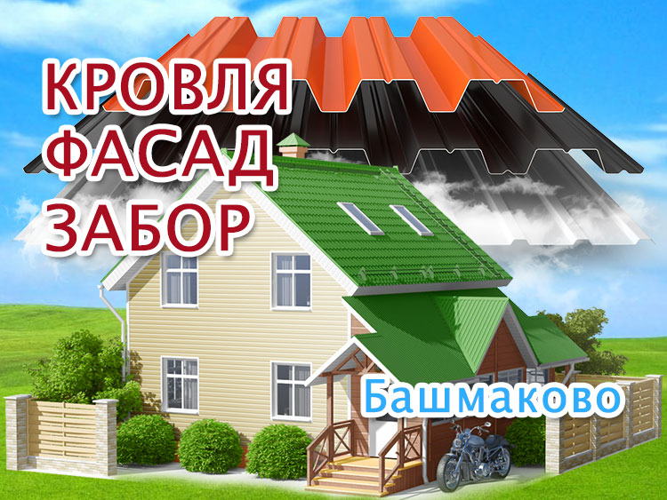 Кровля крыши в Башмаково, обшивка дома, забор с воротами