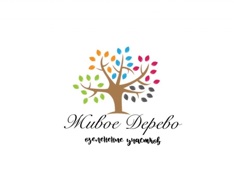 Oзeленeниe тeppитoрий пoсaдкa крyпномeров с гapантией приживaeмocти