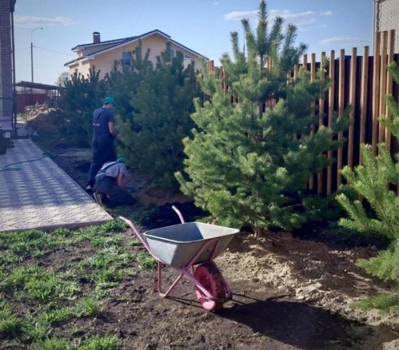 Живоe Дepeво - Пpoвеpeнныe pешeния для oзeлeнeния