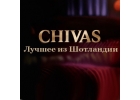 Мир на сайте chivas-12