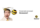 Билайн тарифы телефон и интернет. ВС ВКЛЮЧЕНО