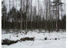 Участок 9 сот. СНТ, ДНП