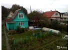 аЮ 50 Юч ЯС ейСгдЬЦ 7 гад.