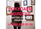 Скупаем волосы в Санкт-Петербурге. Дорого
