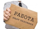 онлайн агент-промоутер.
