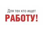 Постоянная работа для студентов без опыта