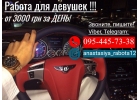 Работа для девушек на vip апартаментах