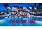 Высокооплачиваемая работа для девушек в волшебном Дубае