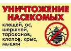 уничтожить убить вывести травить клопы НЕТ блохи м