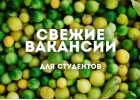 Работа/подработка для студентов