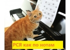 Реклама в Рекламной Сети Яндекса от 1500р.