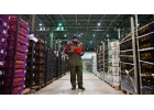 Агроном на склад Товаровед-эксперт плодоовощной продукции