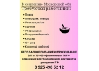 Требуються работники