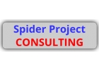 Возможности Spider Project